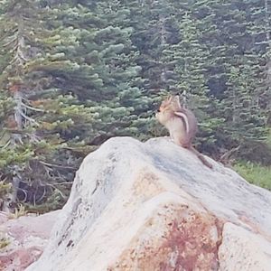 Meet your Posher, Kevin